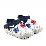 Tovadoo ベビーシューズ スリッポン プリンセス 女の子 秋 結婚式 旅行 花柄 可愛い 歩行練習 柔らかい ギフト 0-18ヶ月