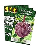 バンレイシ 赤 Annona squamosa Sugar apple 10 Seeds タイ庭園 Thai Garden