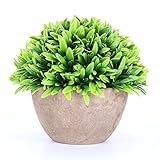 鉢植えの植物 グリーン 観葉植物 卓上装飾 店舗飾り