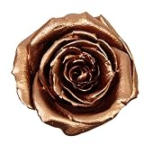 ヴェルディッシモ ジュエルミニ プリザーブドフラワー ブロンズ 8輪入