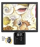 アートプレートnl-156シェルコレクション夜ライト