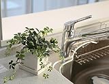 シサスアイビー(シュガーバイン)四角鉢皿つき　【造花】【CT触媒】【人工観葉植物】【フェイクグリーン】