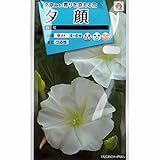 [タキイ 花タネ]ユウガオ（夕顔）：白花 の種　5袋セット ノーブランド品
