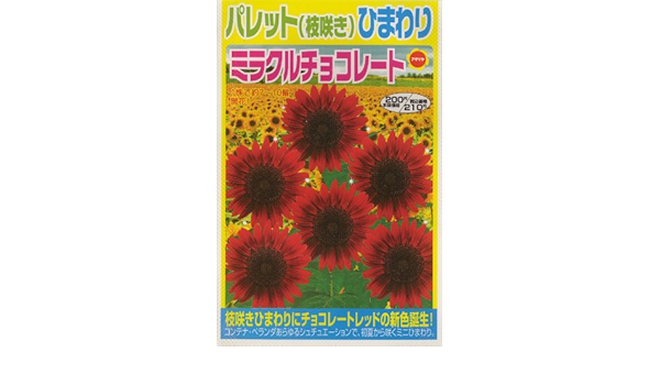 Amazon アタリヤ農園 ガーデニング用品 種 枝咲きひまわりミラクルチョコレート 花