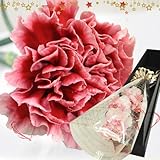 ほんまもん屋 母の日 ギフト ピンクカーネーション ３輪 花束 プレゼント 用 ギフト ボックスでお届け