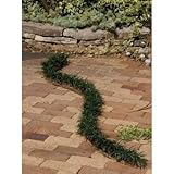 タマリュウ(玉竜スリット)4本セット 植木 苗木 常緑宿根草