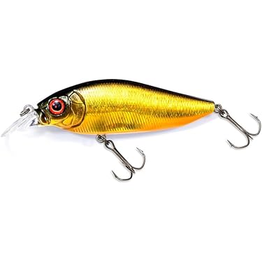 Amazon.co.jp 売れ筋ランキング: オフショアプラグ の中で最も人気の