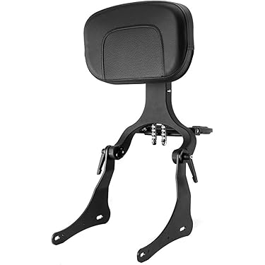 Amazon.co.jp 最新リリース: バイク用バックレスト の新着ランキングです。