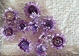 スターフラワーブロッサム（ライトパープル）10輪　【ドライフラワー】レジンなどハンドメイドアクセサリーの素材として人気です！