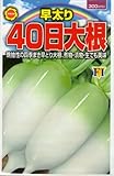 アタリヤ農園 ガーデニング用品 種 早太り 40日大根