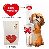 母の日用　ギフトパッケージ　エイチツーオー　ガラス花瓶持ちドッグ　ダックス茶