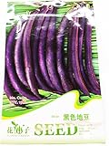 【 珍種子】　黒色インゲン豆　(15粒入)　
