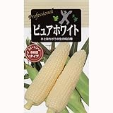 トウモロコシ種 【 ピュアホワイト (とうもろこしの種) 小袋 約50粒 】 ガーデニング 家庭菜園におすすめの 野菜種♪