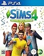The Sims 4 Deluxe Party Edition 【限定版同梱物】・「ライフ・オブ・ザ・パーティ・パック」デジタルコンテンツ・「アップ・オール・ナイト」デジタルコンテンツ・「スゴいアニマルハット」デジタルコンテンツ 同梱 & 【予約特典】Perfect Patio Stuff (DLコード)同梱 & 【Amazon.co.jp限定】A4クリアファイル 付 - PS4