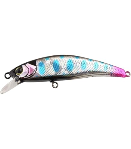 Amazon | JACKALL(ジャッカル) ティモン トリコロール 流芯