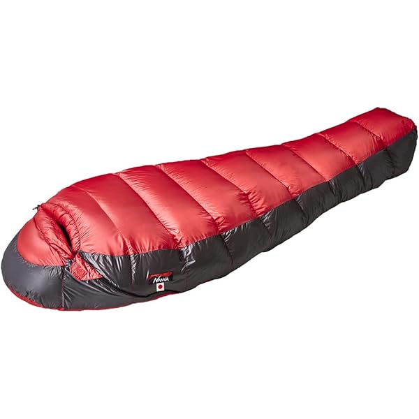 Amazon.co.jp: NANGA ナンガ UDD BAG(ウルトラドライダウンバッグ