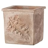 プランター 植木鉢 テラコッタ鉢 オリーブポット スクエアー アンティコ 45×45×45cm ガーデニング 園芸用品 大型