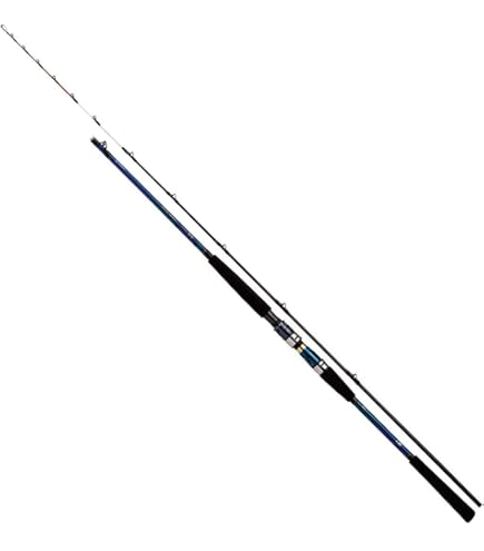 Amazon | ダイワ(DAIWA) 船竿 極鋭コンセプトゲーム AGS L M-160AGS