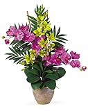 Nearly Natural 1071-OG Double Phalenopsis/Dendrobium Silk Flower Arrangement, Orchid/Green [並行輸入品]