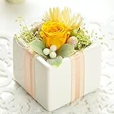 プリザーブドフラワー 花花 ぷち 手のひらサイズ (バラ と フルーツ) 枯れないお花 お祝い プチギフト プレゼント (オリジナルメッセージカード ラッピング 無料対応) グリーン アップル