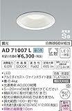 コイズミ照明 屋内屋外兼用パネルシリーズダウンライト調光タイプ(白熱球60W相当)昼白色 AD71007L