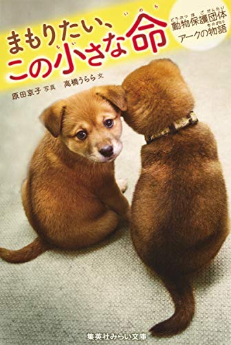 Download まもりたい、この小さな命 動物保護団体アークの物語 (集英社みらい文庫) Full BOoks Free Online