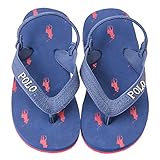 ポロ ラルフ ローレン キッズ サンダル バックストラップ CAMINO Toddler　ビーチサンダル ギフト 【993107T】 （サイズ：8、カラー：Navy/Red） Polo Ralph L