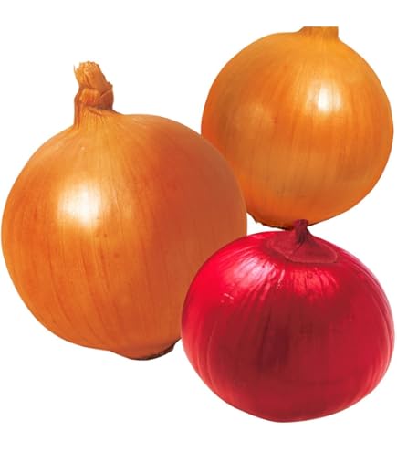 玉ねぎ fit=scale-down,w=1200