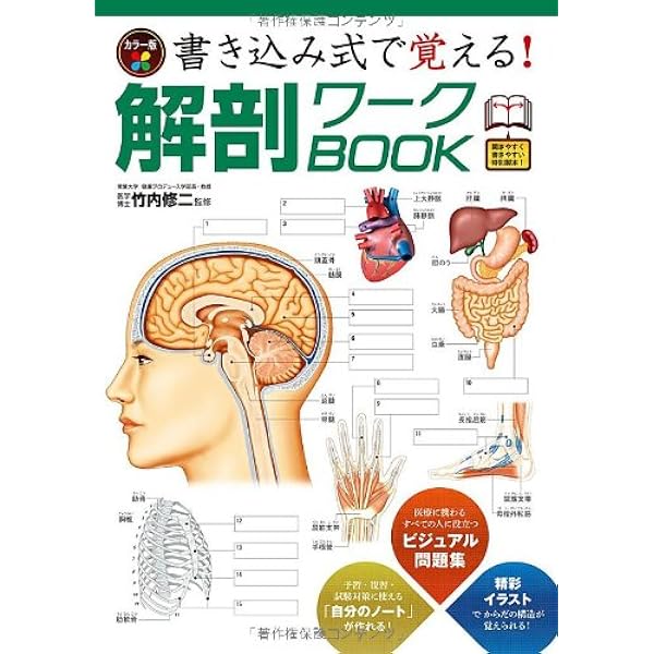 解剖トレ-ニングノ-ト | 竹内 修二 |本 | 通販 | Amazon