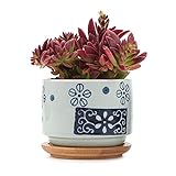 T4U 7.5CM 陶器鉢 和風シリーズNo.1 梅 多肉植物 サボテン鉢 フラワーポット プランター容器 バンブートレイ付き
