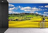 wall26 Wall Muralシリーズ 自己接着式壁紙 大型 100"x144" WMR-WP-X-C637-100x24x6