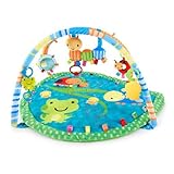 Taggies タギーズ バギーズ&フレンズアクティビティジム (9153) by Kids II