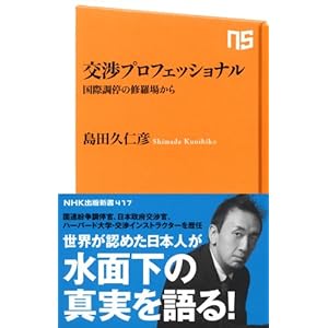 交渉プロフェッショナル 国際調停の修羅場から (NHK出版新書)