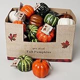セットof ( 6 ) Fall Harvest人工Pumpkins ( 3.5インチ) in Assorted Colors 3.5 inch G15134-setof6