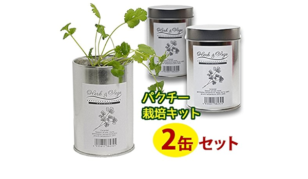 Amazon 2缶セット パクチー栽培キット コリアンダー 缶 ハーブ 缶で育てる フレッシュ 野菜栽培 ガーデニング ギフト 鍋 薬味 家庭菜園 デトックス効果 栽培キット オンライン通販