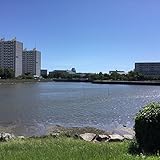 起業するなら一読してください: 一読シリーズ (ヴェルヌ出版)