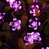 Innoo Tech LED ソーラーストリングライト 桃花 50灯 紫色 7m イルミネーション クリスマス 結婚式 パーティー ウェディング 屋外 デコレーション ガーデンライト 庭 防水 自動点