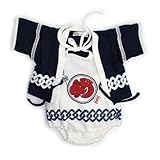 はっぴロンパス【め組】 (80)