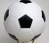 【マイカラーボール】 カラーサッカーボール 凹凸アリ 6インチ 白色 6個セット