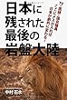 日本に残された最後の岩盤大陸: TV・医師・国会議員　ここにメスが入れば日本が劇的に変わる！
