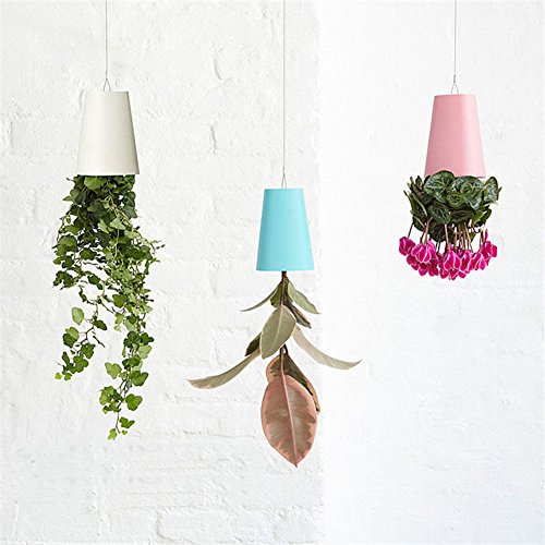 逆さに植えても土が落ちない！100均スカイプランターDIY【写真多め