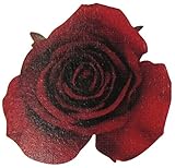 ヴァリエローズ L ルージュ 61-10001-2