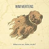 What Are We Locks to Do?