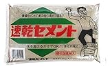 家庭化学 速乾セメント グレー 1.3kg