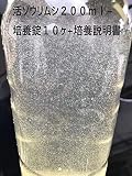 《めだか街道》濃縮ゾウリムシ２００ｍｌ（生体）+酵母錠１０ヶ+培養説明書付き 液体 魚用