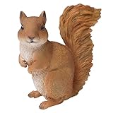 山善(YAMAZEN) アニマルガーデン リス AG-R700T