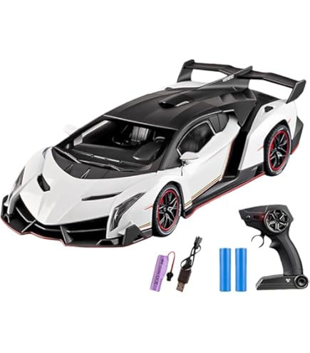 Amazon.co.jp: 1/18 ランボルギーニ・シアン ラジコンカーキット パチ