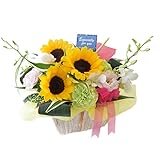 花由 ボリュームUP 季節のおまかせ 生花アレンジメント サマーver【 4日後以降お届け】