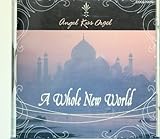 Whole New World,A�`�V�g���������I���S�[��