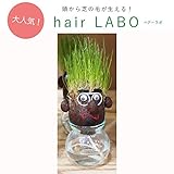 hair LABO boys（ヘアーラボ・ボーイズ）底面給水タイプ：メガネ（シルバー） ノーブランド品